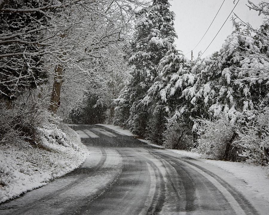 Cruising in a Winter Wonderland Photograph by Ronald Lutz