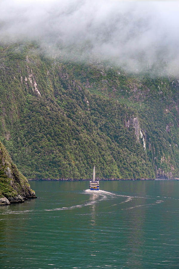 Cruising Milford Sound Photograph by Catherine Reading
