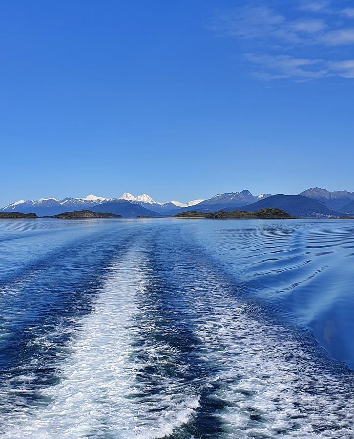 Cruising on a Glassy Sea Photograph by Andrea Whitaker