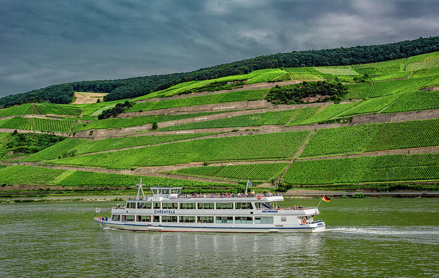 Cruising the Rhine River Photograph by Marcy Wielfaert