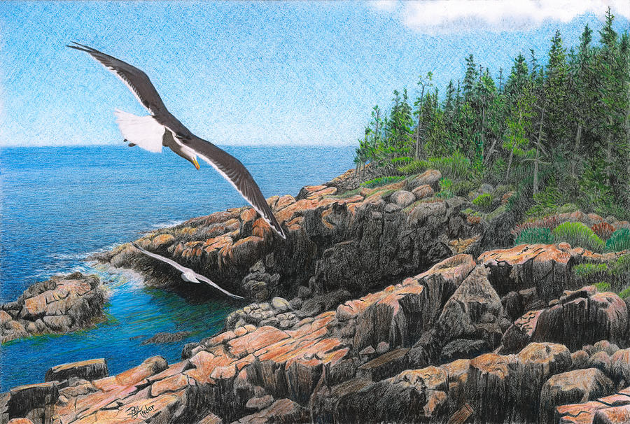 Crusing Otter Point Drawing by Brent Ander