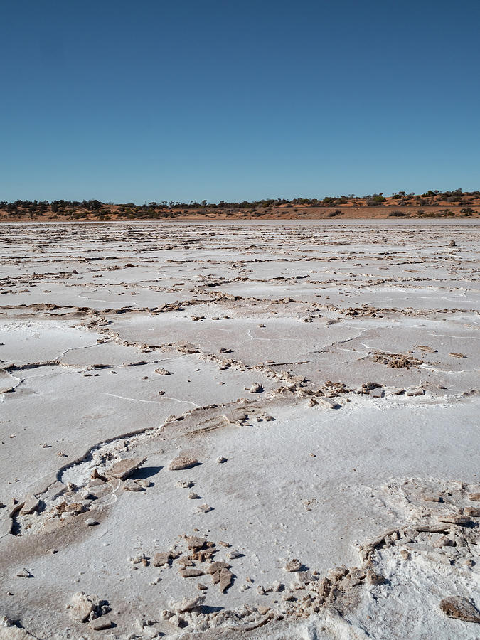 Crusted salt flat, Lake Hart, Australia Photograph by Millward Shoults