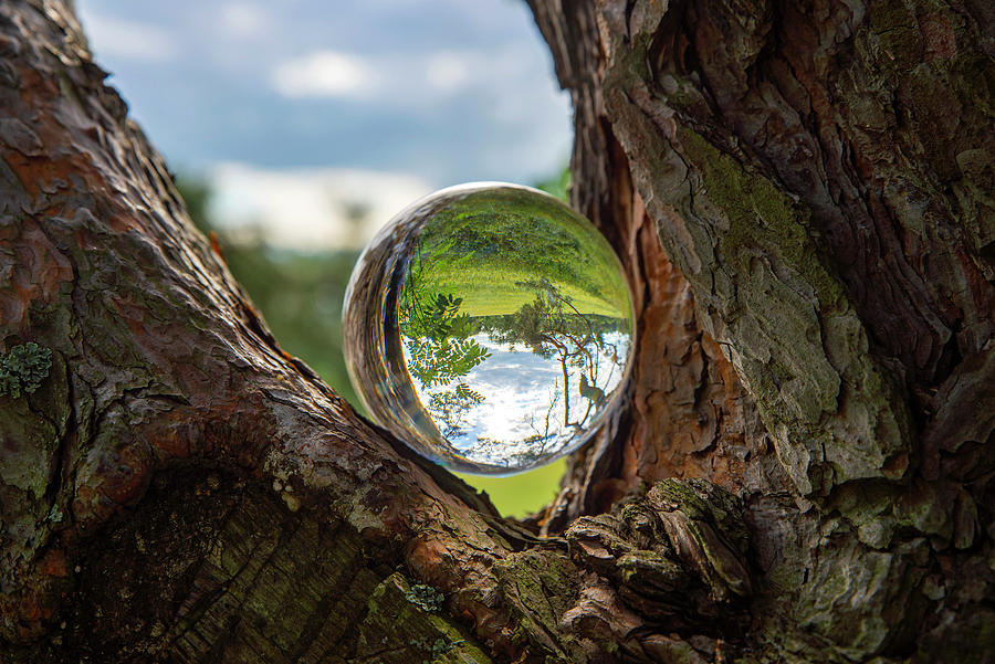 Crystal ball. Photograph by Sergei Fomichev Crystal ball. Photograph by Sergei Fomichev
