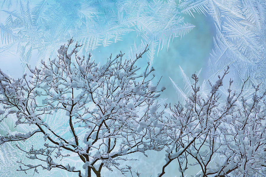 Crystal Blue Winter Photograph by Cate Franklyn