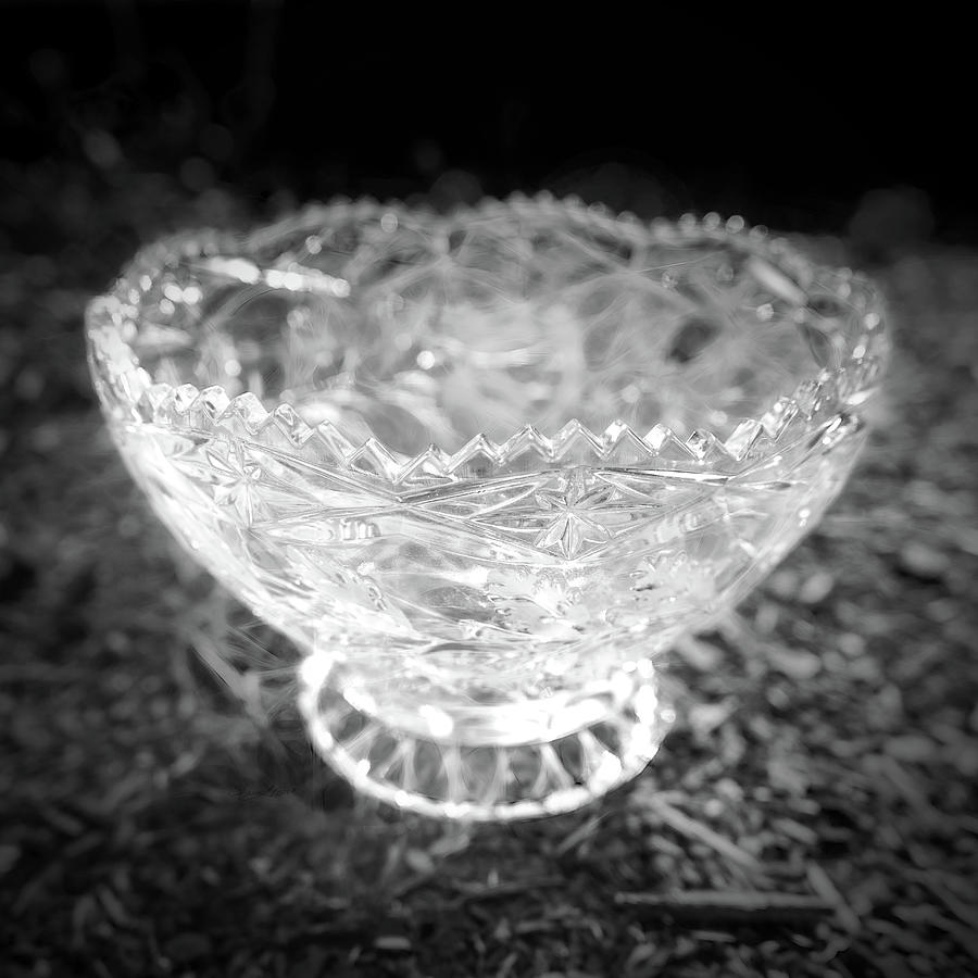 Crystal Bowl Dirt Photograph by Sharon Popek