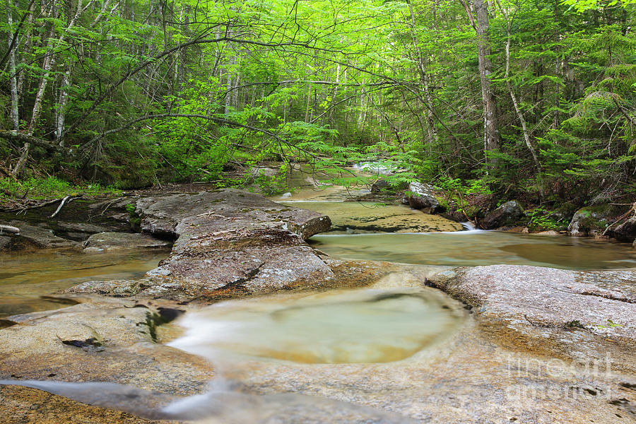 Crystal Brook - Pemigewasset Wilderness, New Hampshire Photograph by Erin Paul Donovan