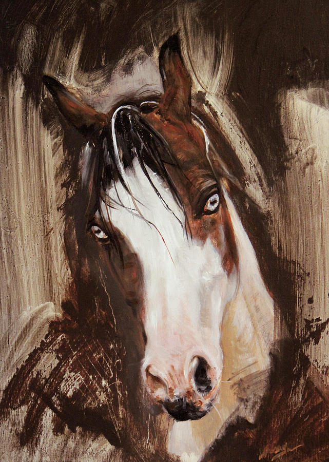 Horse Painting - Crystal Gaze  by Susie Gordon