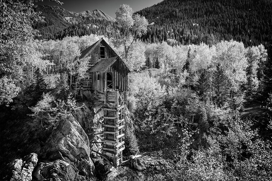 Sheep Photograph - Crystal Mill Black and White by Rick Berk