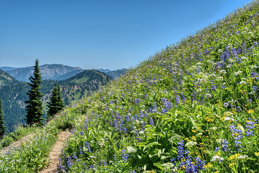 Crystal Mountain Photograph by Natasha Bishop - Fine Art America