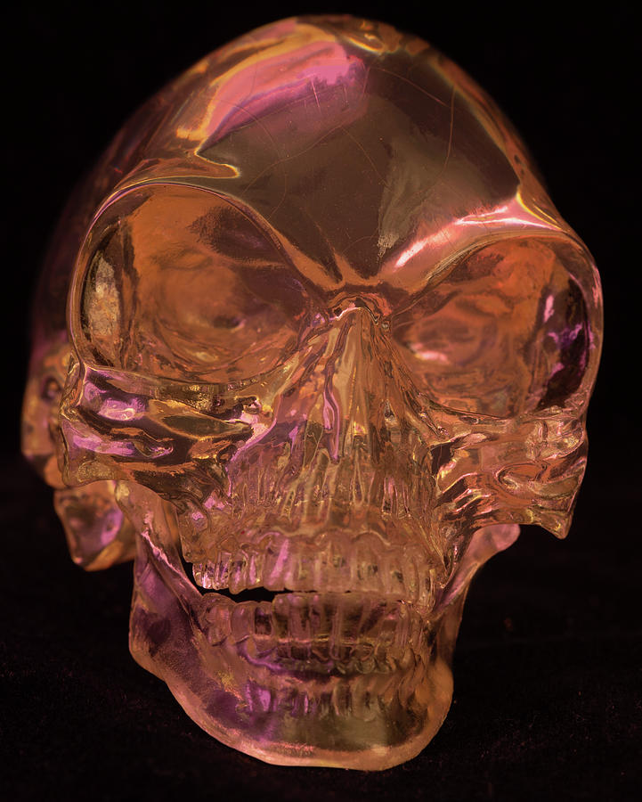 Crystal Skull Photograph