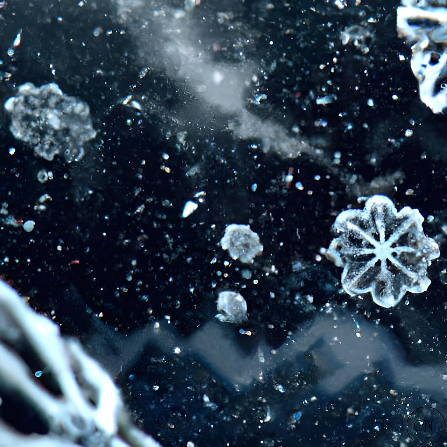 Crystal Snow Flakes Digital Art by Cindys Creative Corner