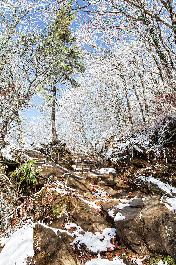 Crystalized Photograph by Garth Steger - Fine Art America