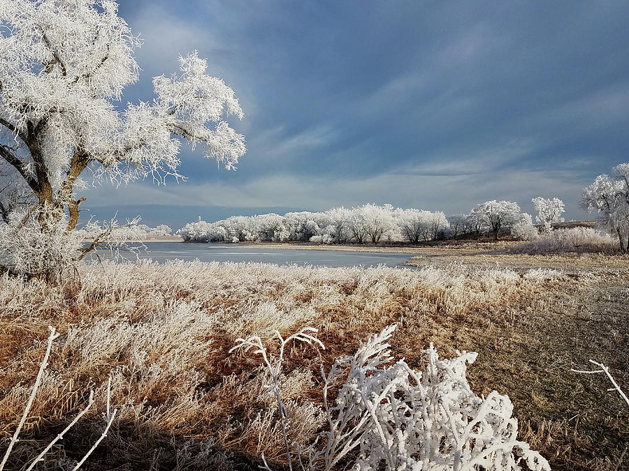 Landscape Photograph - Crystallized Prairie by Melissa Peterson
