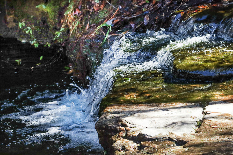 Csonka Falls Popping Photograph by Ed Williams
