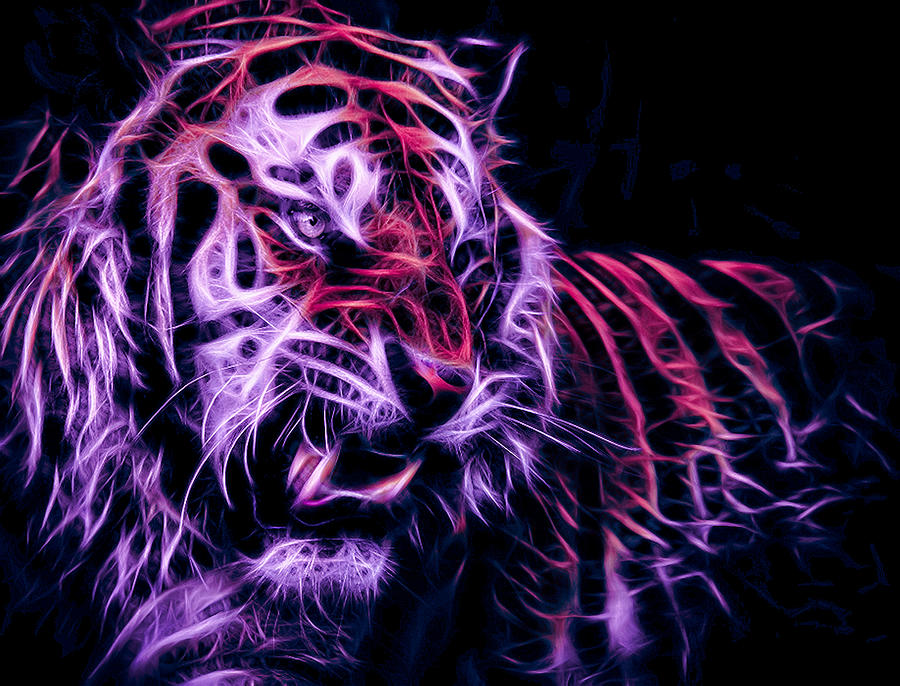 Cu Tiger Fire Digital Art