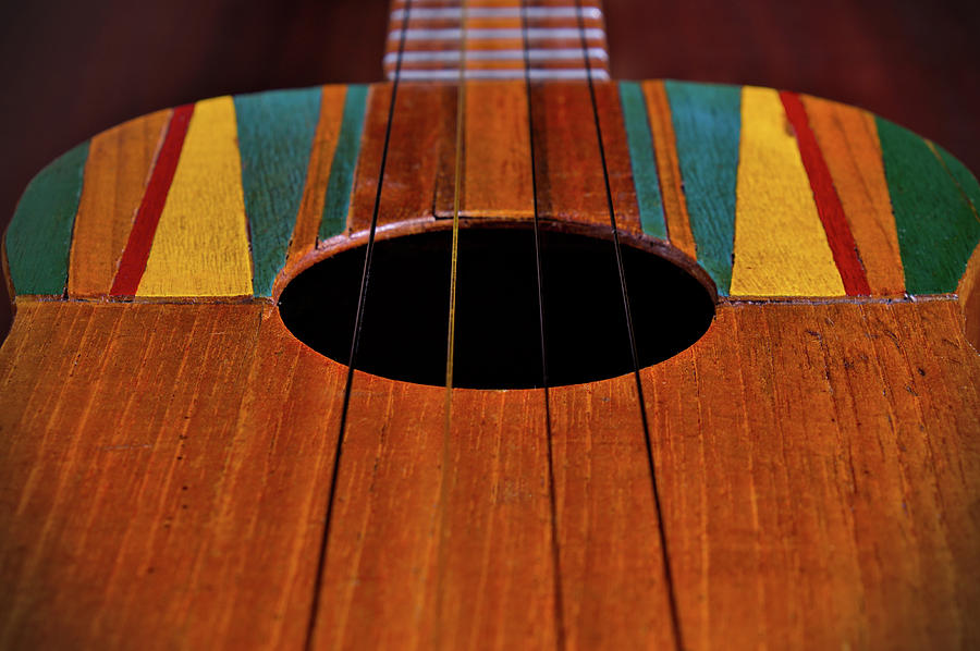 Cuatro Guitar Strings Photograph by Angelo DeVal