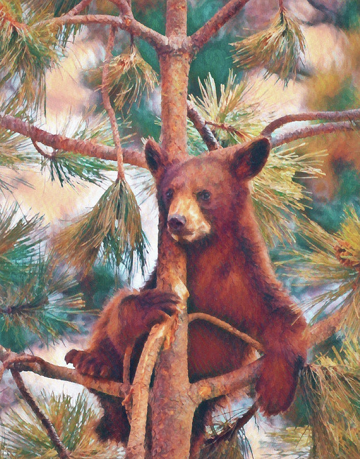 Cub In Tree Da Digital Art