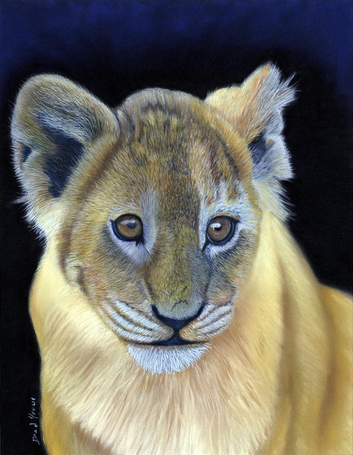 Cub Pastel - Cub Wildlife Pastel Painting by Dave Nevue Cub Pastel - Cub Wildlife Pastel Painting by Dave Nevue