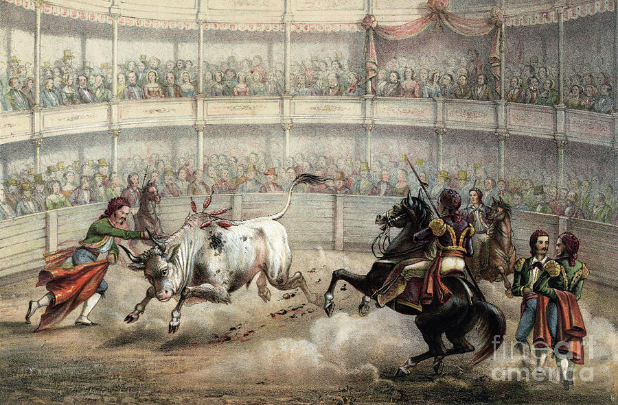Cuba - Bullfight, 1855 Drawing by Granger