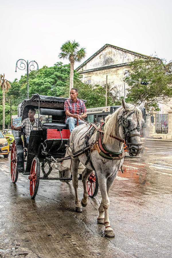 Cuba carriage Photograph by Patricia Dennis