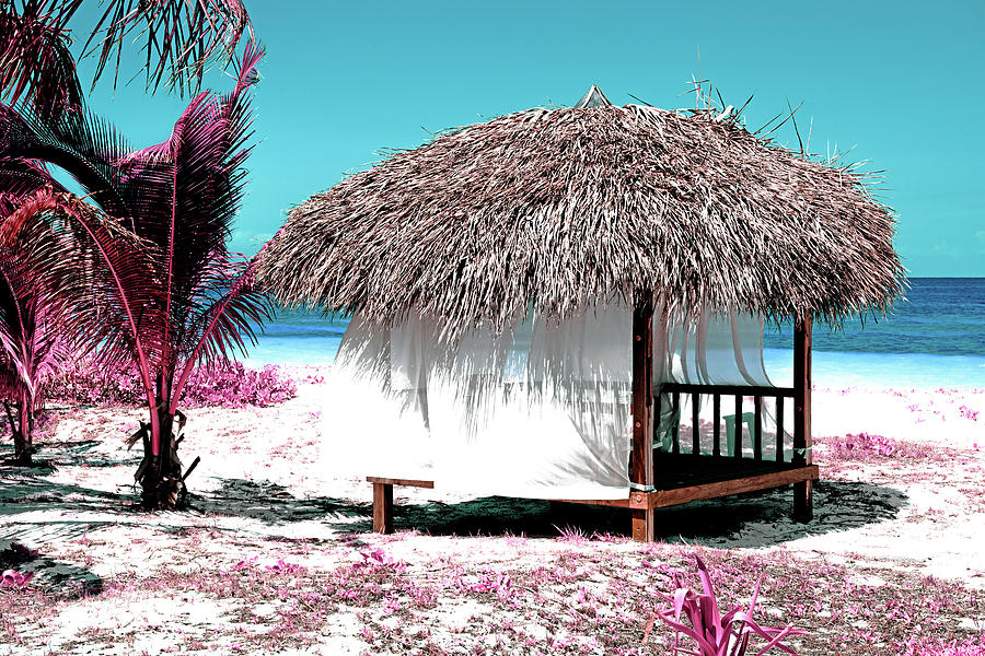 Cuba Fuerte Collection - Pink Beach Photograph by Philippe HUGONNARD