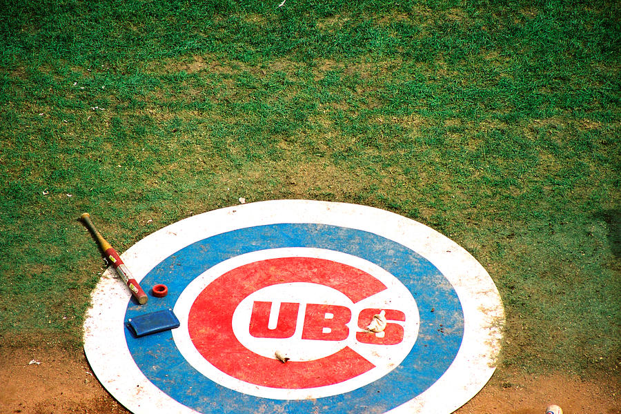 Cubs Bullseye Photograph by Claude Taylor