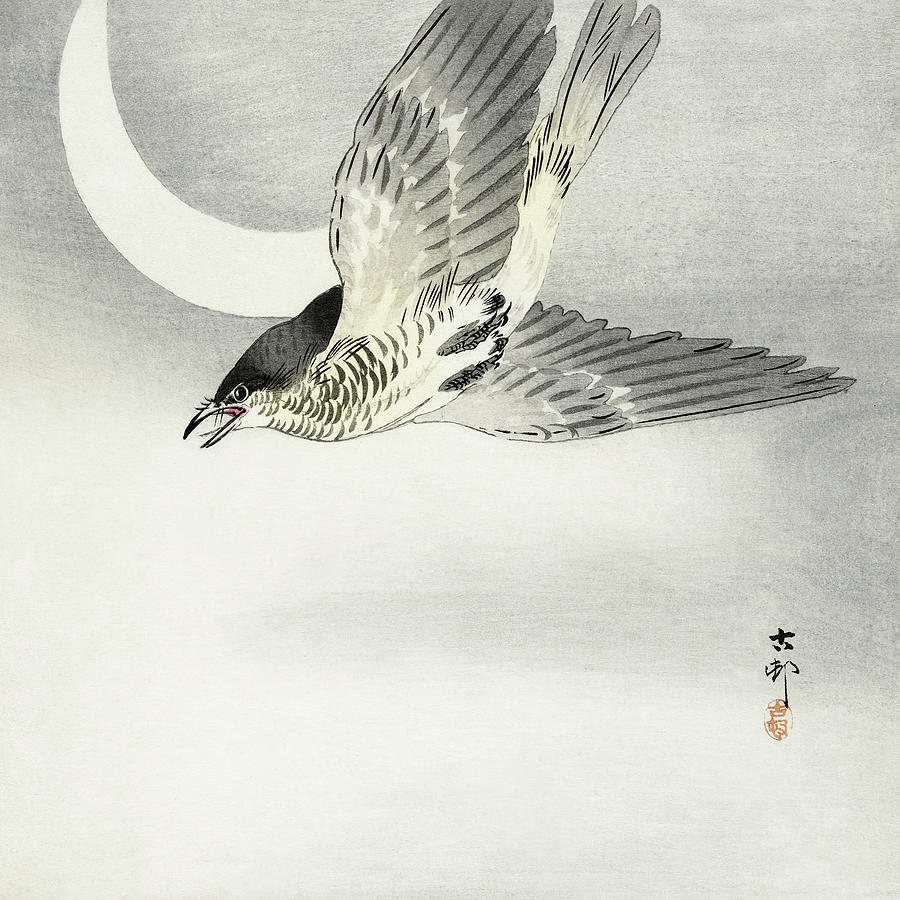 Ohara Koson Painting - Cuckoo at crescent moon by Ohara Koson