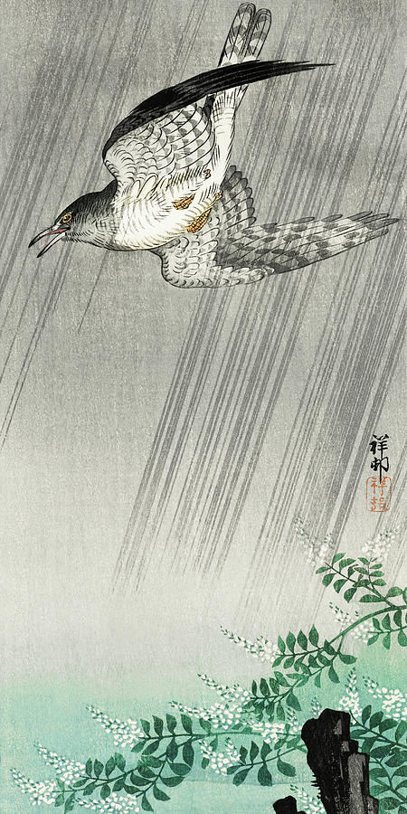 Ohara Koson Painting - Cuckoo in storm by Ohara Koson