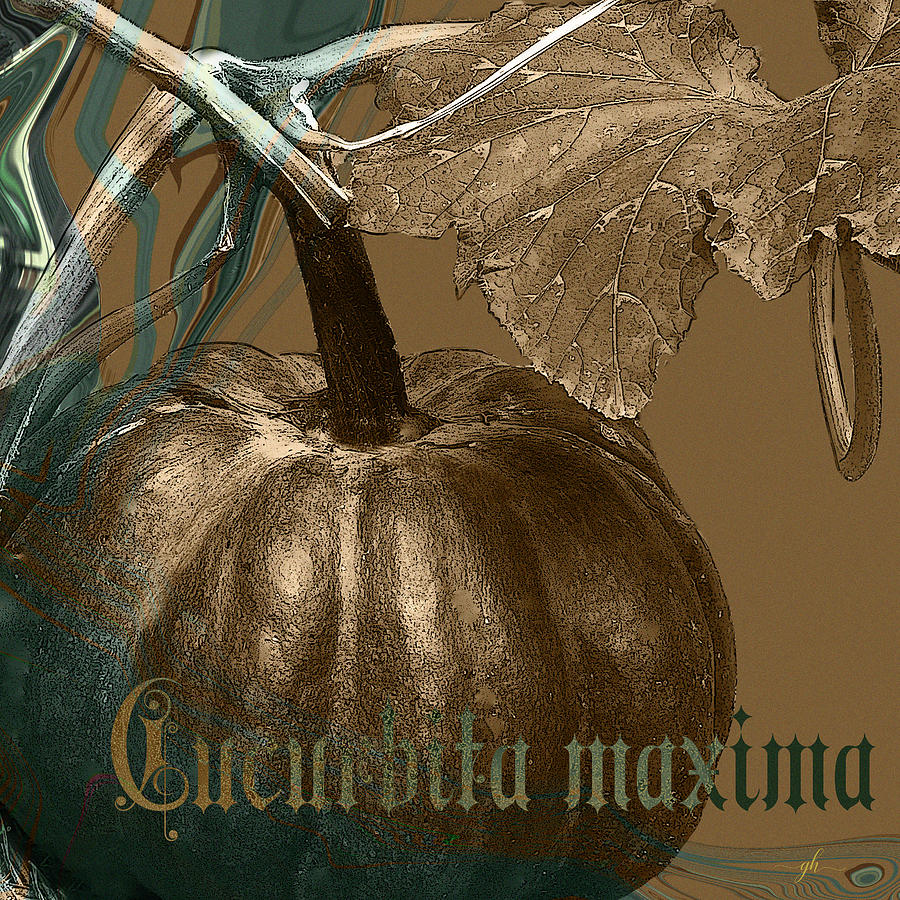 Cucurbita maxima Digital Art by Gina Harrison