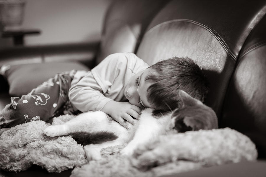 Cuddling Photograph by Thousand Word Images by Dustin Abbott