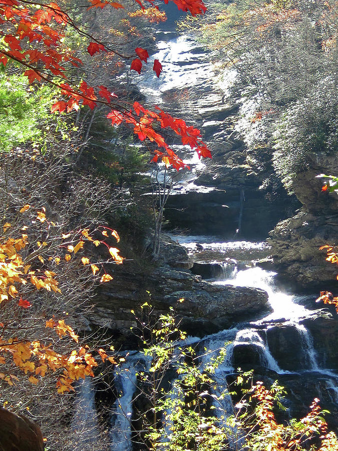 Cullasaja Falls in Autumn 300 Photograph by Sharon Williams Eng
