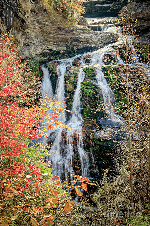 Cullasaja Falls Photograph