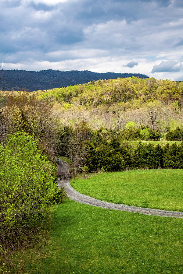 Cullers Trail No 2 Photograph by David Beard - Fine Art America