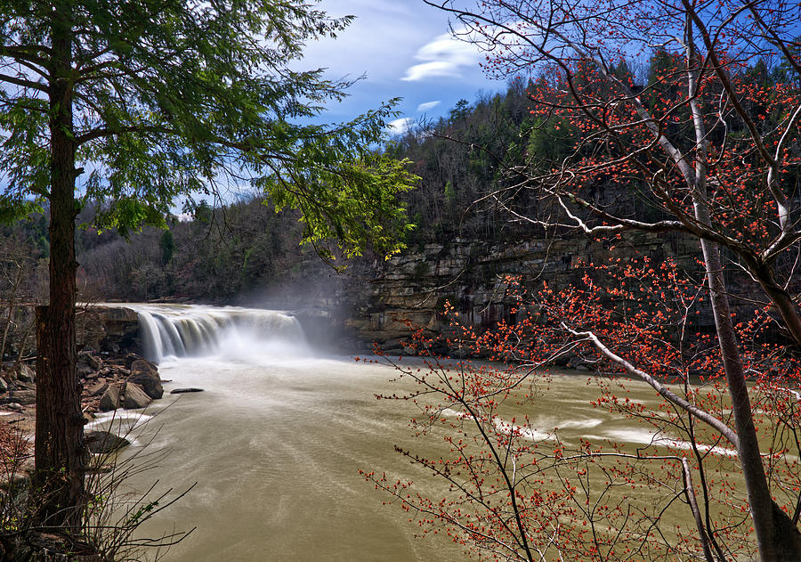 Cumberland Falls Kentucky in springtime Photograph by Peter Herman