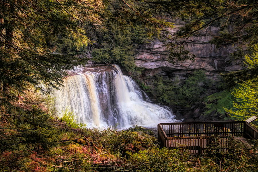 Blackwater Falls Overlook Photograph by Dan Sproul