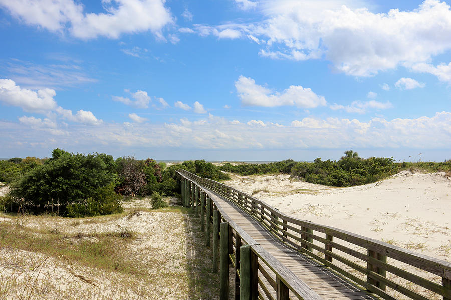 Cumberland Island Beach Walkway Photograph by Ed Williams - Fine Art ...