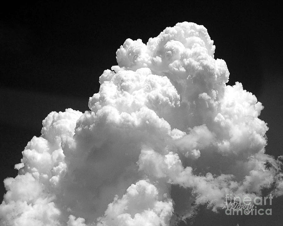 Cumulus Cloud Photograph by Natalie Dowty