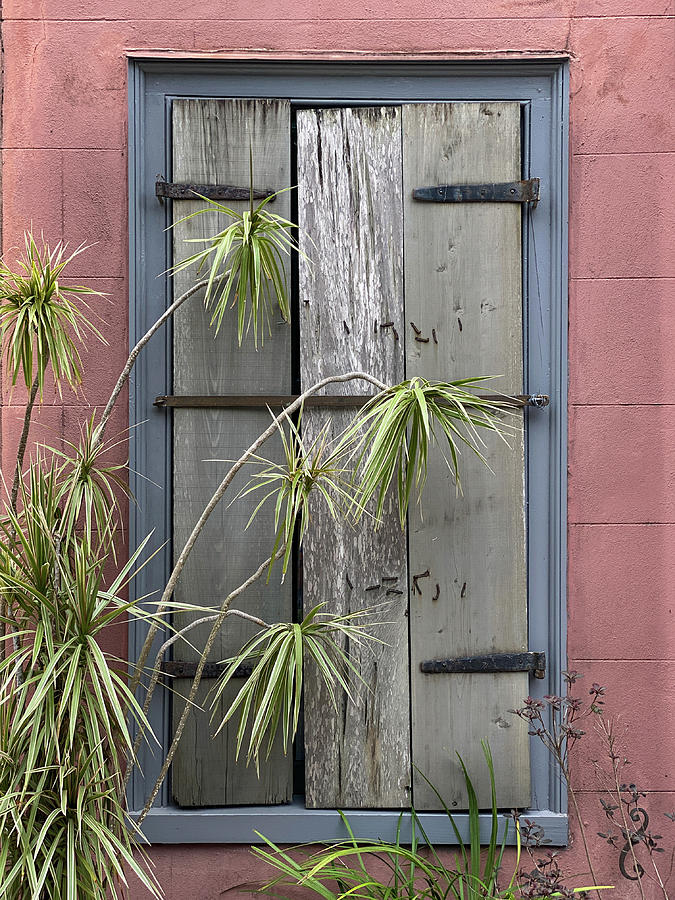Cuna Street Window, St. Augustine, Florida Photograph by Dawna Moore Photography