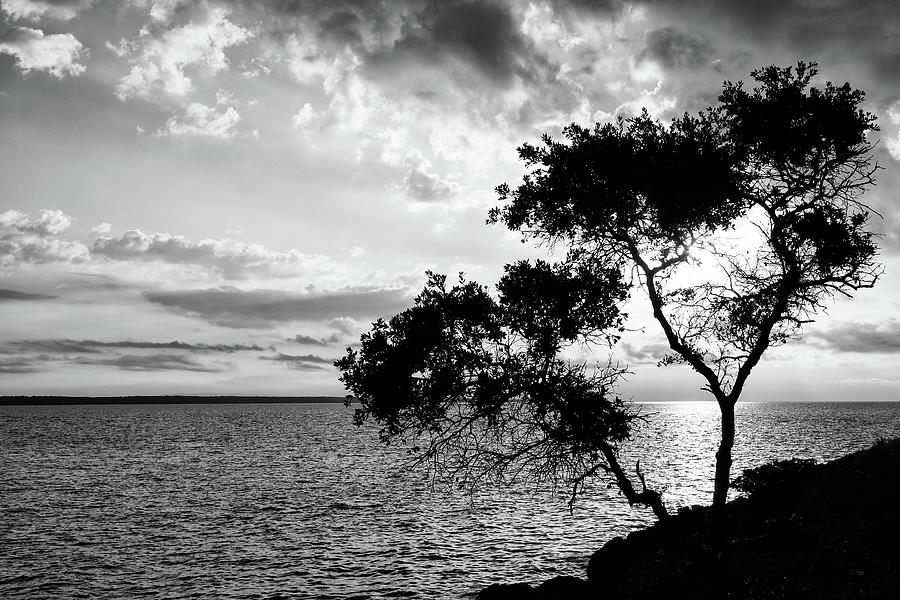 Cunski beach and coastline in Black and White, Losinj Island, Cr Photograph by Ian Middleton