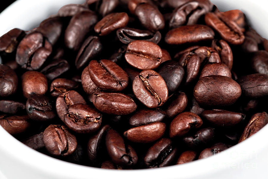 Cup of Coffee Beans Photograph by John Rizzuto