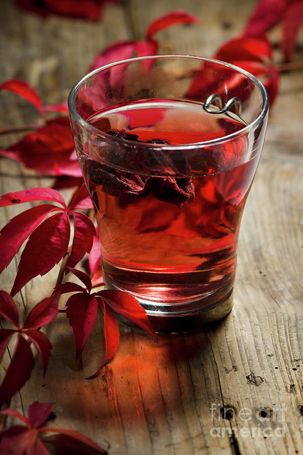 Cup of hibiscus tea and red ivy. Autumn concept. Photograph by Jelena Jovanovic