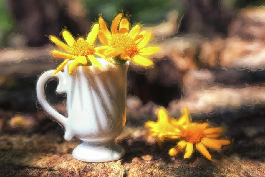 Flower Photograph - Cup Of Sunshine by Jim Love