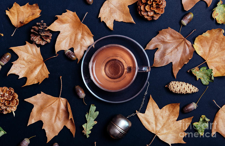 Cup of tea with autumn leaves, acorn and cones on dark backgroun Photograph by Jelena Jovanovic