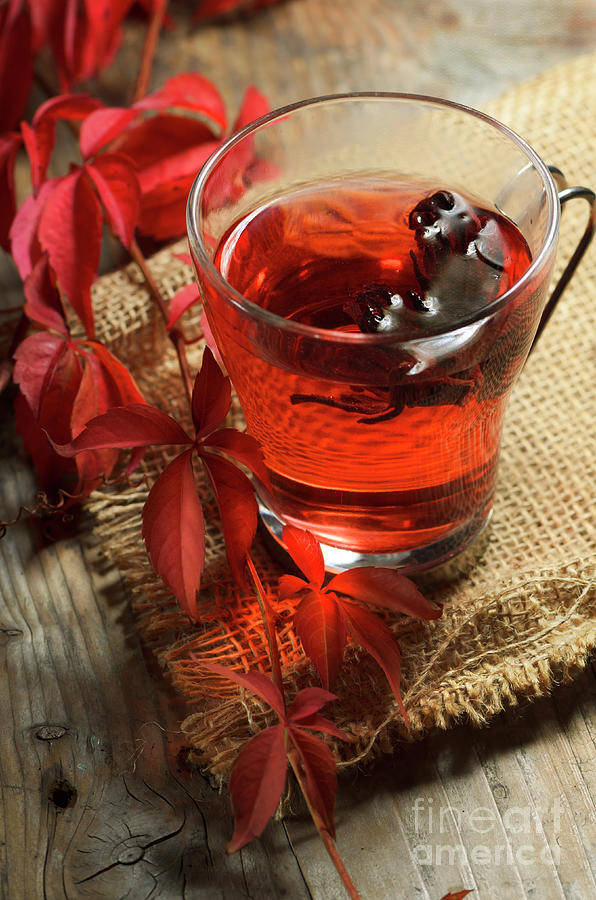 Cup of tea with hibiscus Photograph by Jelena Jovanovic