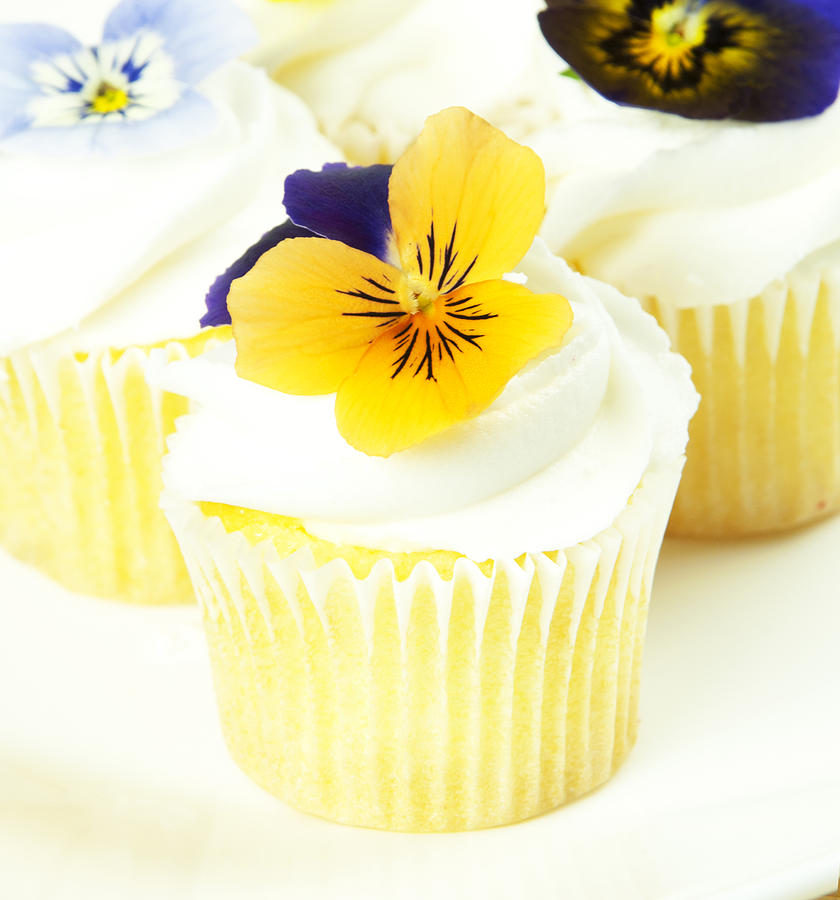Cupcakes with edible flowers Photograph by Marlene Ford