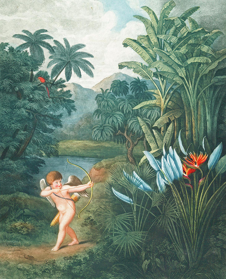 Cupid Painting by Long Shot