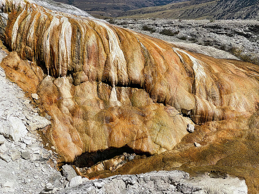 Cupid Spring at Mammoth Hot Springs Photograph by Judy Vincent