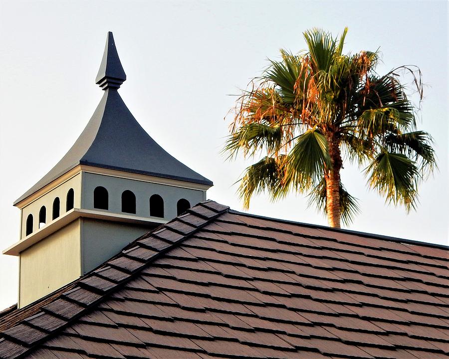 Cupola and Palm Tree Photograph by Andrew Lawrence