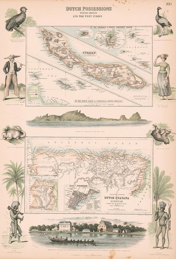 Map Painting -  Curacao  Leeward Islands  Guyana  Dutch Possessions in South America and The West Indies London       by Archibald Fullarton   Co