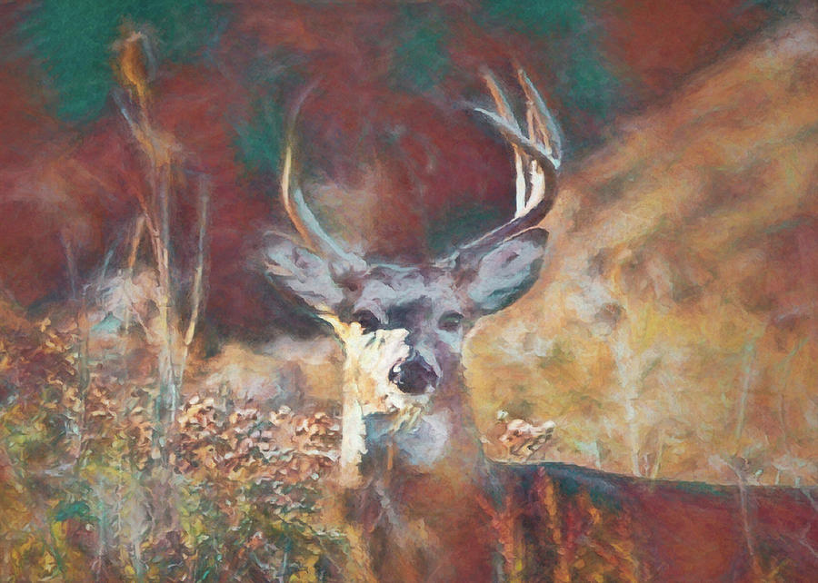 Curious Buck  Digital Art by Ernest Echols